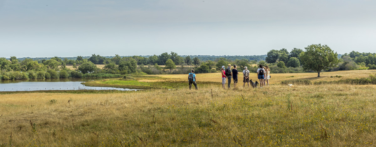 _Y5A0181-Panorama_web.jpg