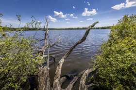_H6A8095_web.jpg