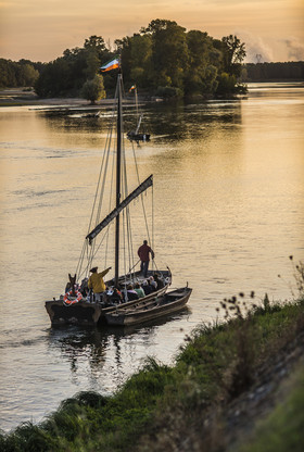 _D806581.jpg