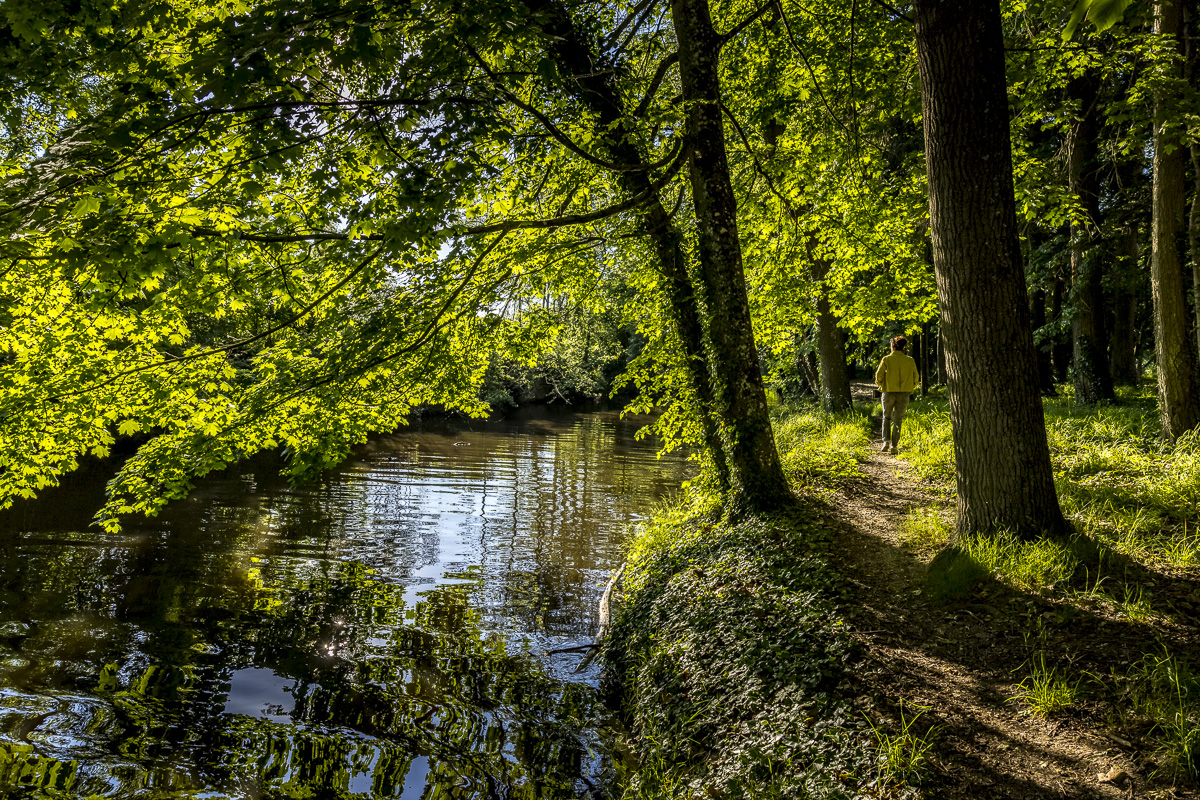 _H6A7699_web.jpg