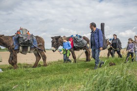 _DAR9209.jpg