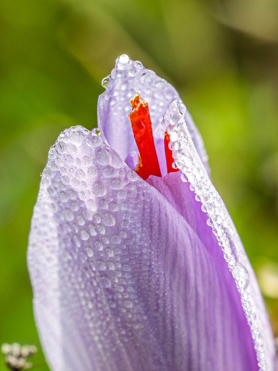 _DSF4753_web.jpg