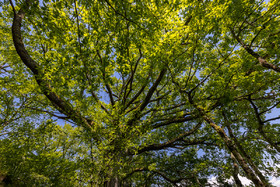 _H6A8058.jpg