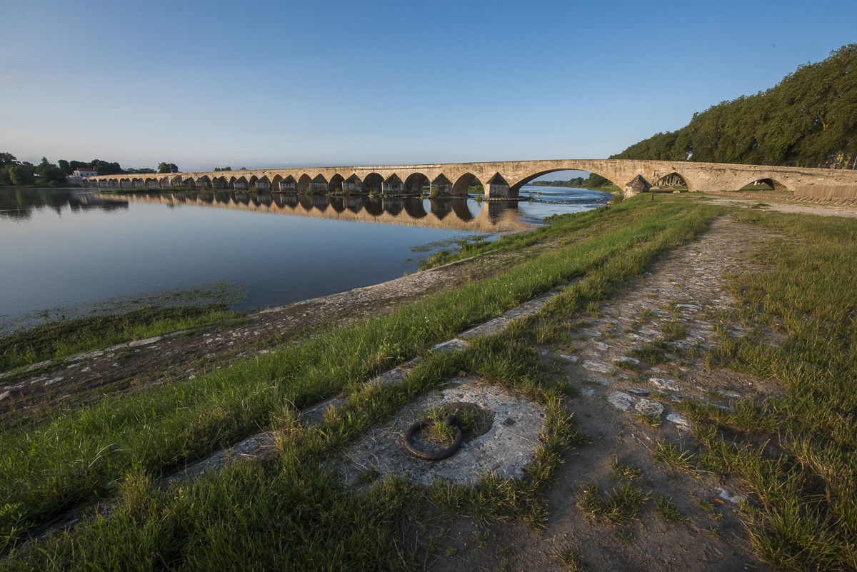 _D805042.jpg
