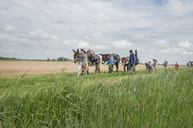 _DAR9213.jpg