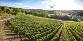 _K6A4022-Panorama-Modifier-Modifier.jpg