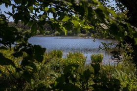 _H6A7936.jpg